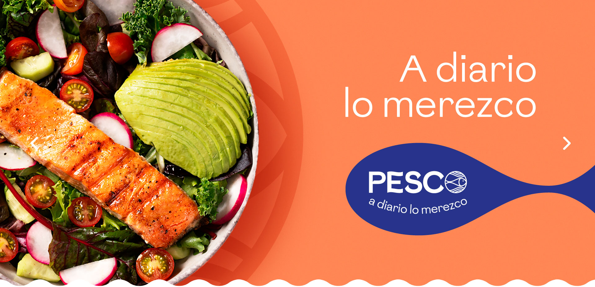 Pesco-Sitio-Home-Hero-01